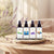 AIR FRESHENER 30 ML MINIATURE COMBO OF EVERGREEN MOON LIGHT LAVENDER AND EDEN BREEZ